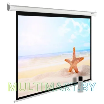 Проекционный экран CACTUS MotoExpert 220x138 (CS-PSME-220x138-WT)